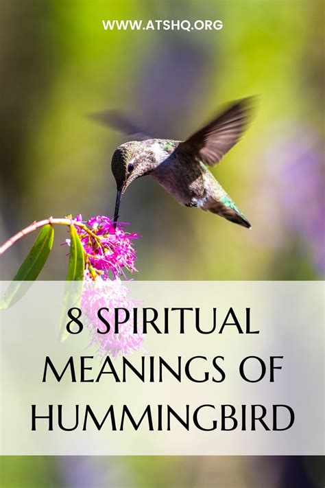 Exploring the Spiritual Significance of Hummingbirds