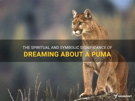 Exploring the Spiritual Significance of Puma Symbolism in Dream Experiences