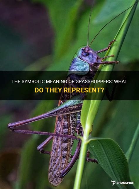 Exploring the Spiritual Symbolism of Grasshoppers in Ancient Mythology