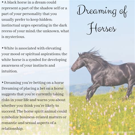 Exploring the Spiritual and Mystical Significance of Dreams about Equine Affection