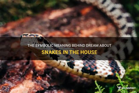 Exploring the Symbolic Elements and Meanings Behind Snake Dreams