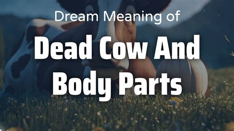 Exploring the Symbolic Importance of Animal Body Parts in Dream Analysis