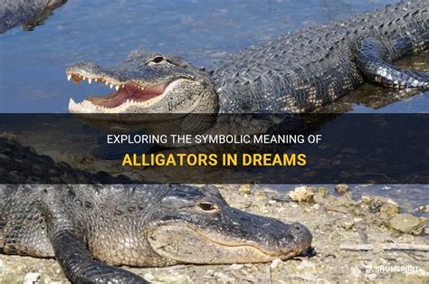 Exploring the Symbolic Meaning of Alligator and Hippo Dreams