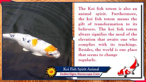 Exploring the Symbolic Meanings Found in Dreams Featuring White Koi Fish