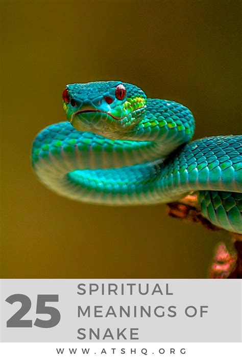 Exploring the Symbolic Meanings of Different Snake Colors in Dreams