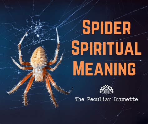 Exploring the Symbolic Significance and Analysis of Spider Hatchling Dreams