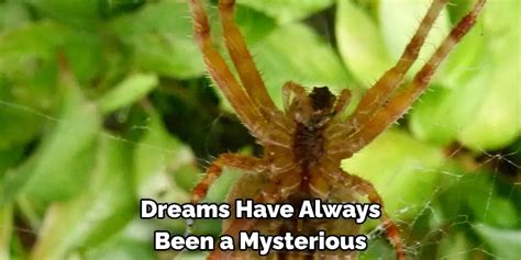 Exploring the Symbolic Significance of Arachnids in One's Dreams