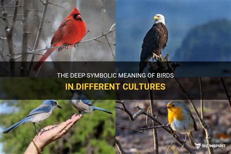 Exploring the Symbolic Significance of Birds across Cultures