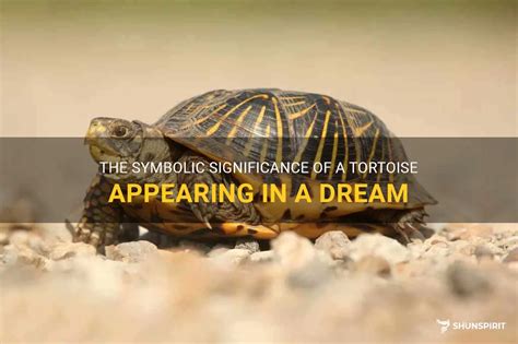 Exploring the Symbolic Significance of Soaring Tortoises in Diverse Cultural Traditions