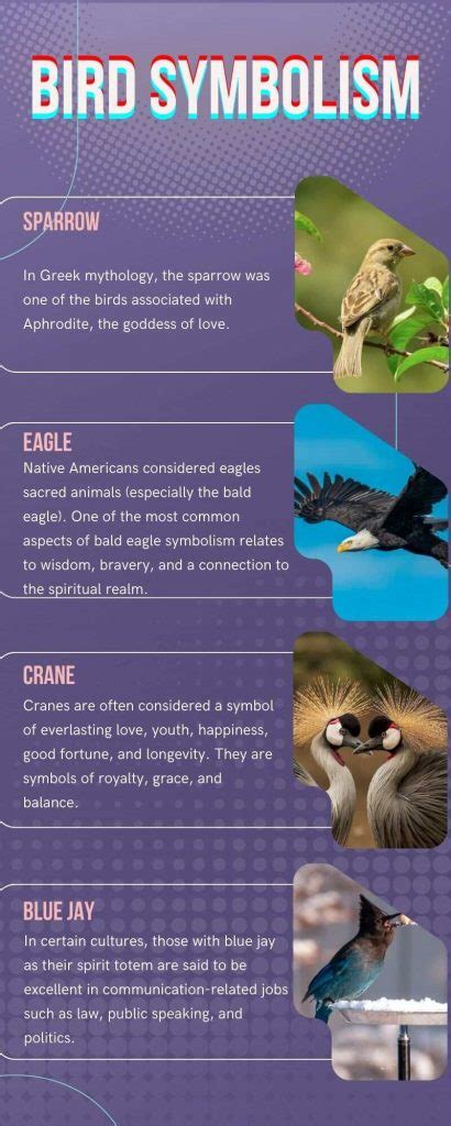 Exploring the Symbolic Significance of Various Bird Species