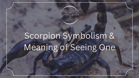 Exploring the Symbolic Significance of the Scorpion Adorning the Human Back