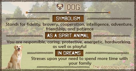 Exploring the Symbolism: What Does Canine Represent in Dreams?