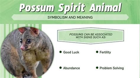 Exploring the Symbolism Behind Fantasies of Eliminating a Possum