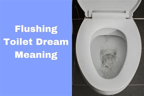 Exploring the Symbolism behind Dreams about Public Toilet Usage