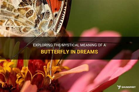 Exploring the Symbolism of Butterflies in Dreams