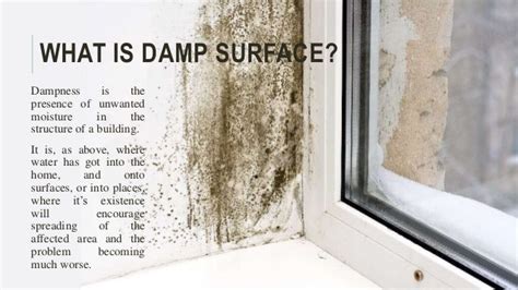 Exploring the Symbolism of Damp Surfaces in Fantasies