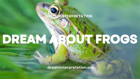 Exploring the Symbolism of Frog-Laden Dreams