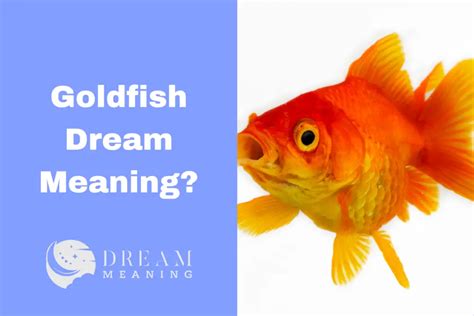 Exploring the Symbolism of Goldfish in Dreams: Uncovering the Meaningful Elements