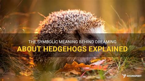 Exploring the Symbolism of Hedgehogs: Insights into Dreams and Psychology