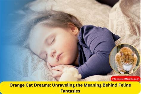 Exploring the Symbolism of Male Feline Birth Dreams