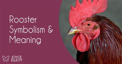 Exploring the Symbolism of Roosters in Various Cultures