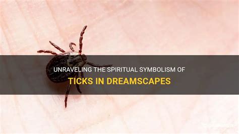 Exploring the Symbolism of Ticks in the Realm of Dreams