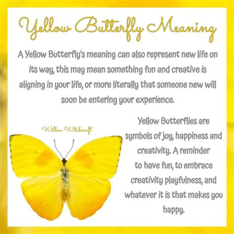 Exploring the Symbolism of Yellow Butterflies: A Source of Joy and Happiness