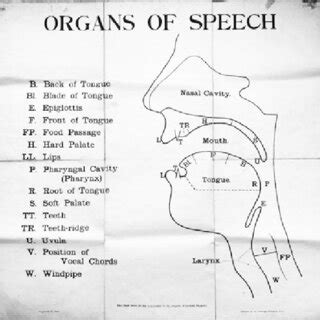 Exploring the Symbolism of an Immobilized Speech Organ in Reveries