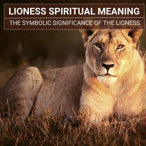 Exploring the Symbolism of the Lioness in Dreams