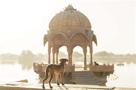 Exploring the Timeless Splendor of Earth-Toned Landscapes