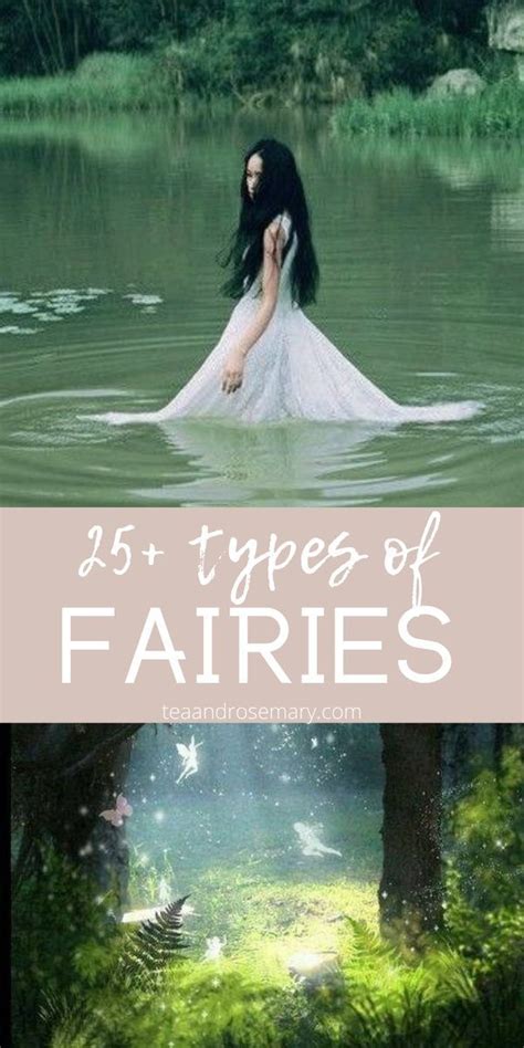 Exploring the Various Kinds of Fairy Folk