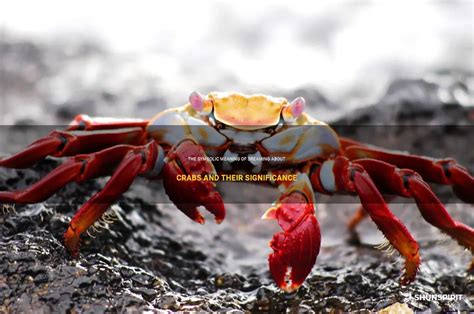 Exploring the Various Significances of Dreaming about Crabs