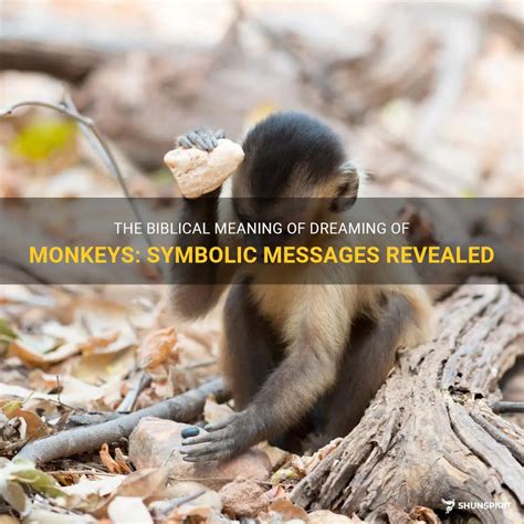 Exploring the Various Symbolic Messages of Monkeys in Dreams