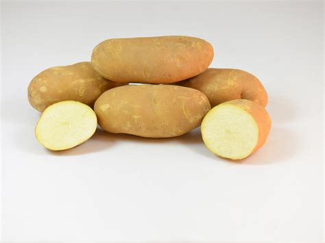 Exploring the Various Varieties of Ivory Potatoes