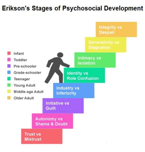 Exploring the model's age