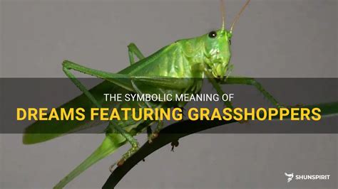 Exploring the psychological implications of dreams featuring an abundance of grasshoppers