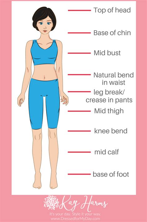 Exposing Holly Lane's Body Measurements and Proportions