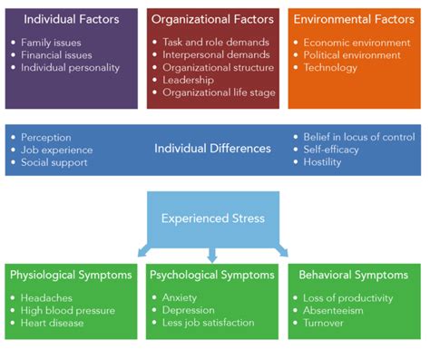 External Factors and Stressors That May Contribute to the Manifestation of These Dreams