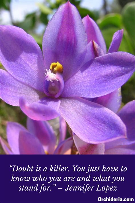 Extract Words of Wisdom from the Inspirational Krystal Orchid