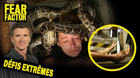 Facing Fear: Analyzing the Fear Factor in Serpent Nightmares