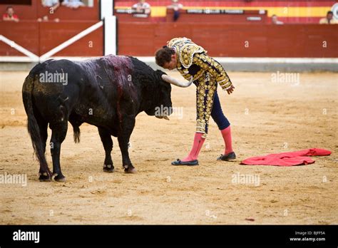 Facing the Bull: Thrills and Dangers of Bullfighting