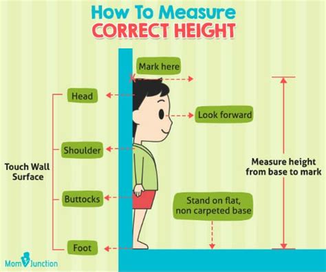 Fact Check: Age, Height, Figure Details