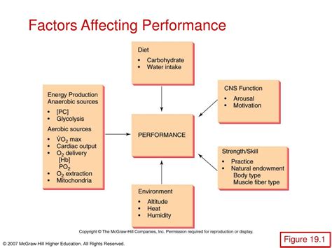 Factors Influencing Performance in the Workplace