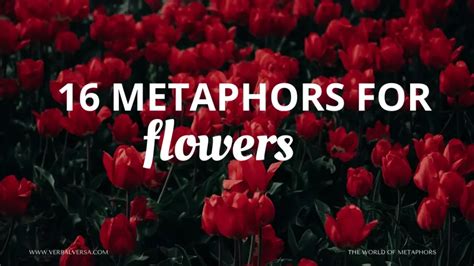 Falling Flowers as a Metaphor