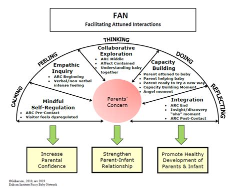 Fan Interaction and Support