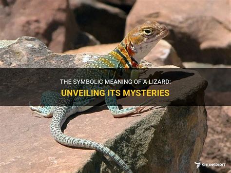 Fascinating Symbolism: Unveiling the Meaning of Lizards