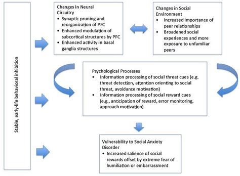 Fear, Curiosity, and Vulnerability: Insights into the Role they Play