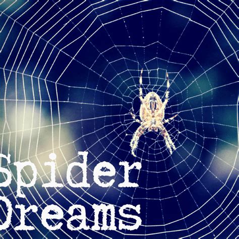 Fear or Fortune? Different Interpretations of Spider Dreams