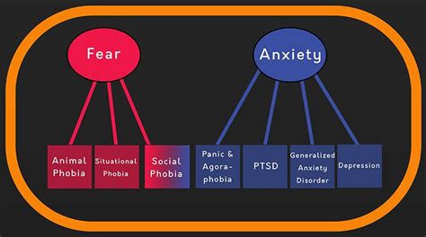 Fear vs. Reality: Differentiating between Night Time Scenarios and Actual Situations