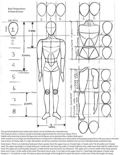 Figure: Curves and Proportions